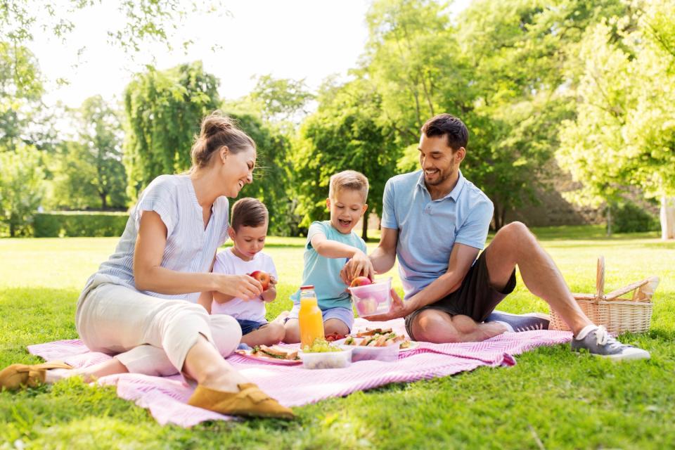 Two adults and two kids having a picnic. 